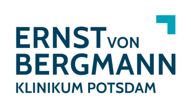 EvB Foundry Logo